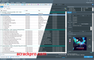 TagScanner 6.1.13 Crack + License Key Free Download