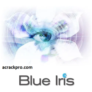 Blue Iris Crack + License key Free Download